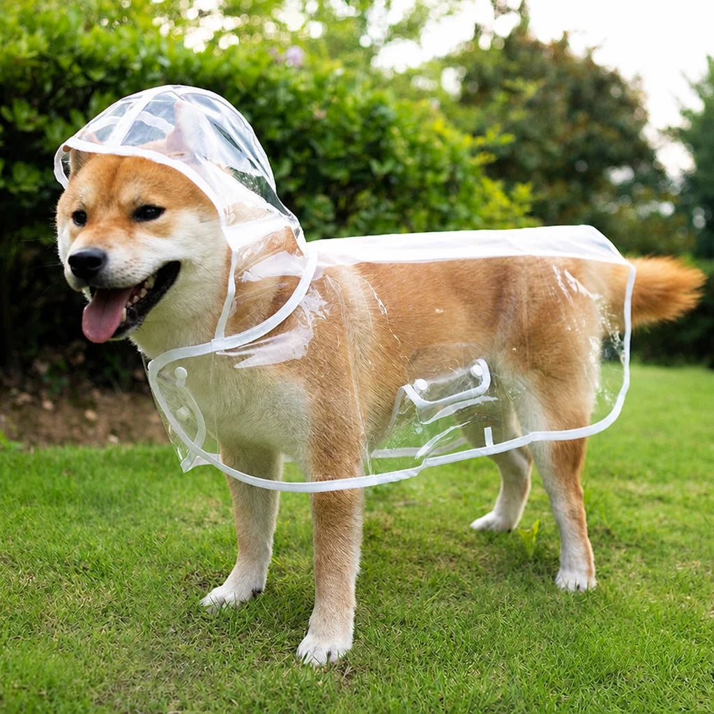 Transparent EVA Raincoat for Dogs
