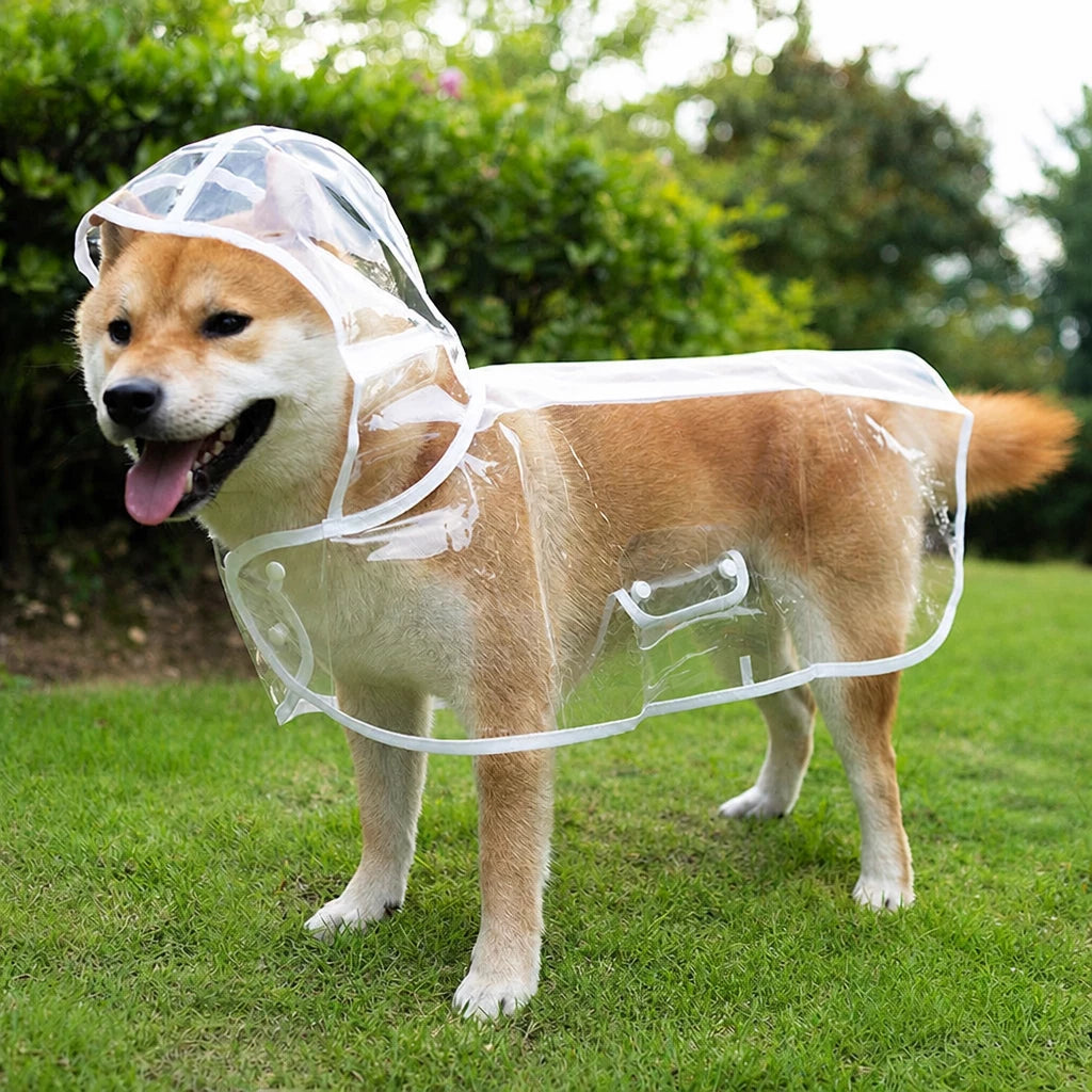 Transparent EVA Raincoat for Dogs