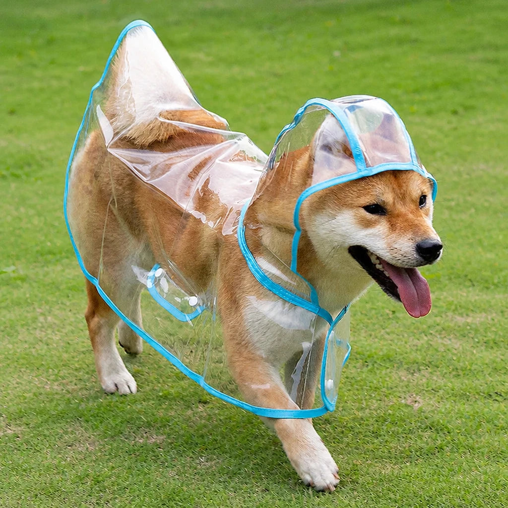 Transparent EVA Raincoat for Dogs