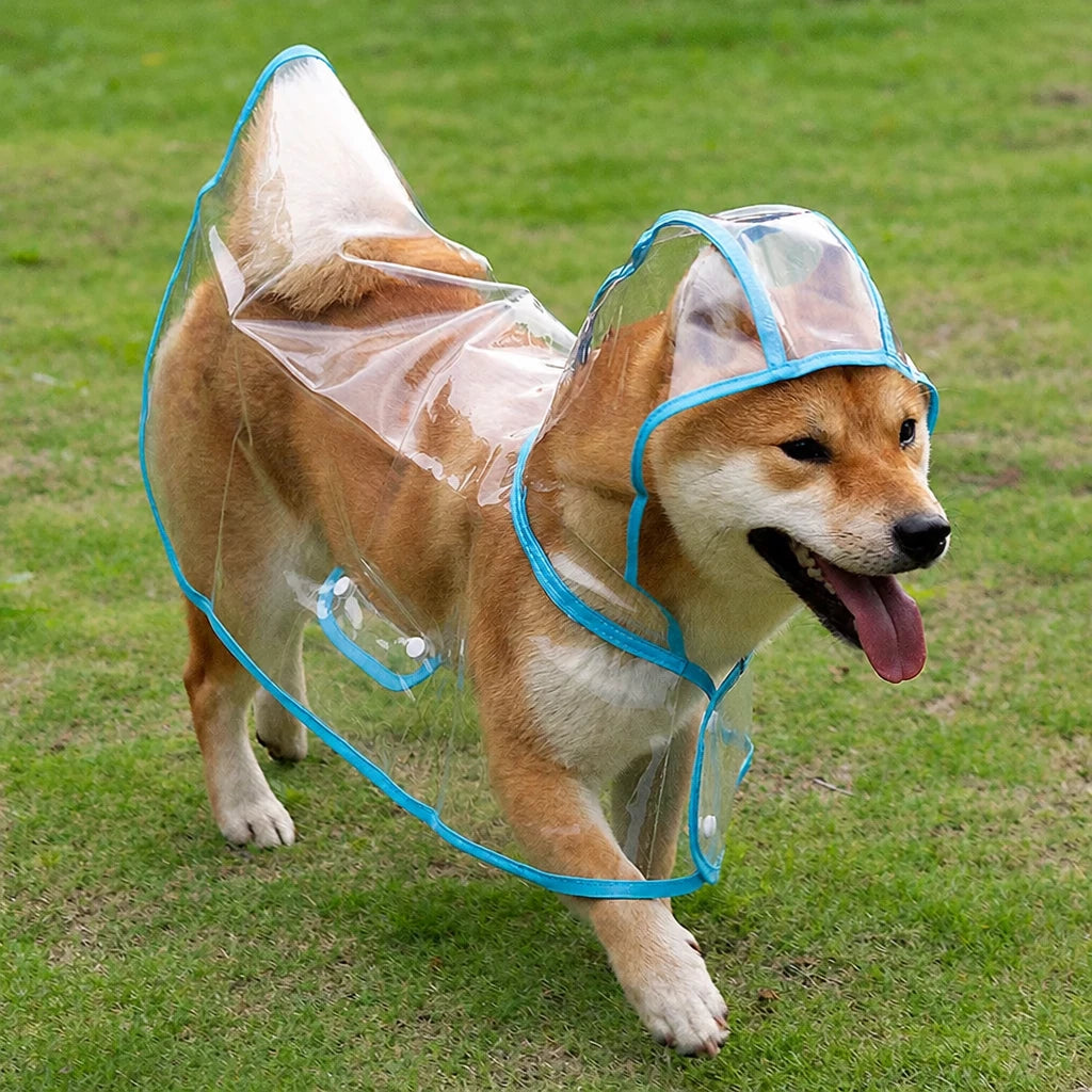 Transparent EVA Raincoat for Dogs