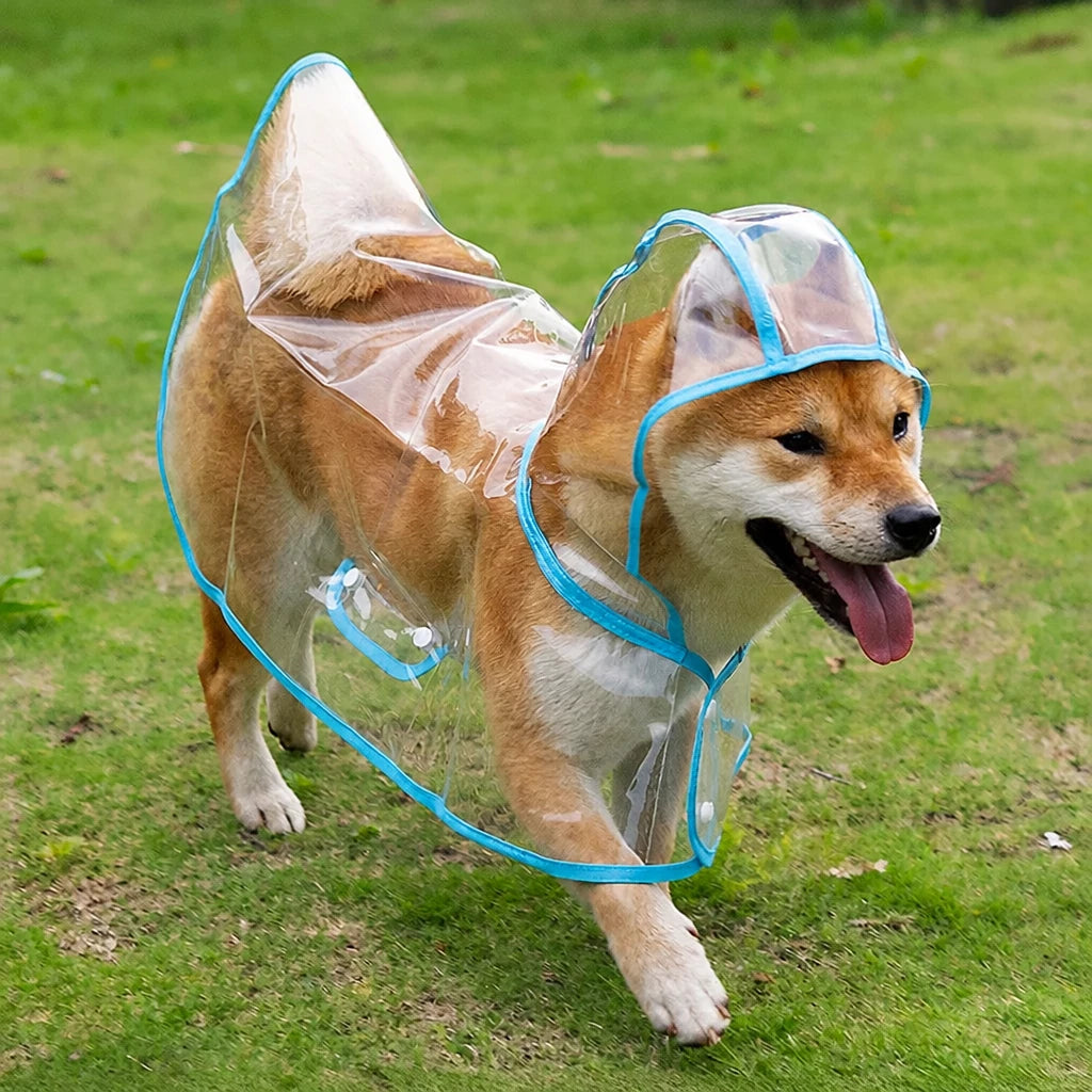 Transparent EVA Raincoat for Dogs