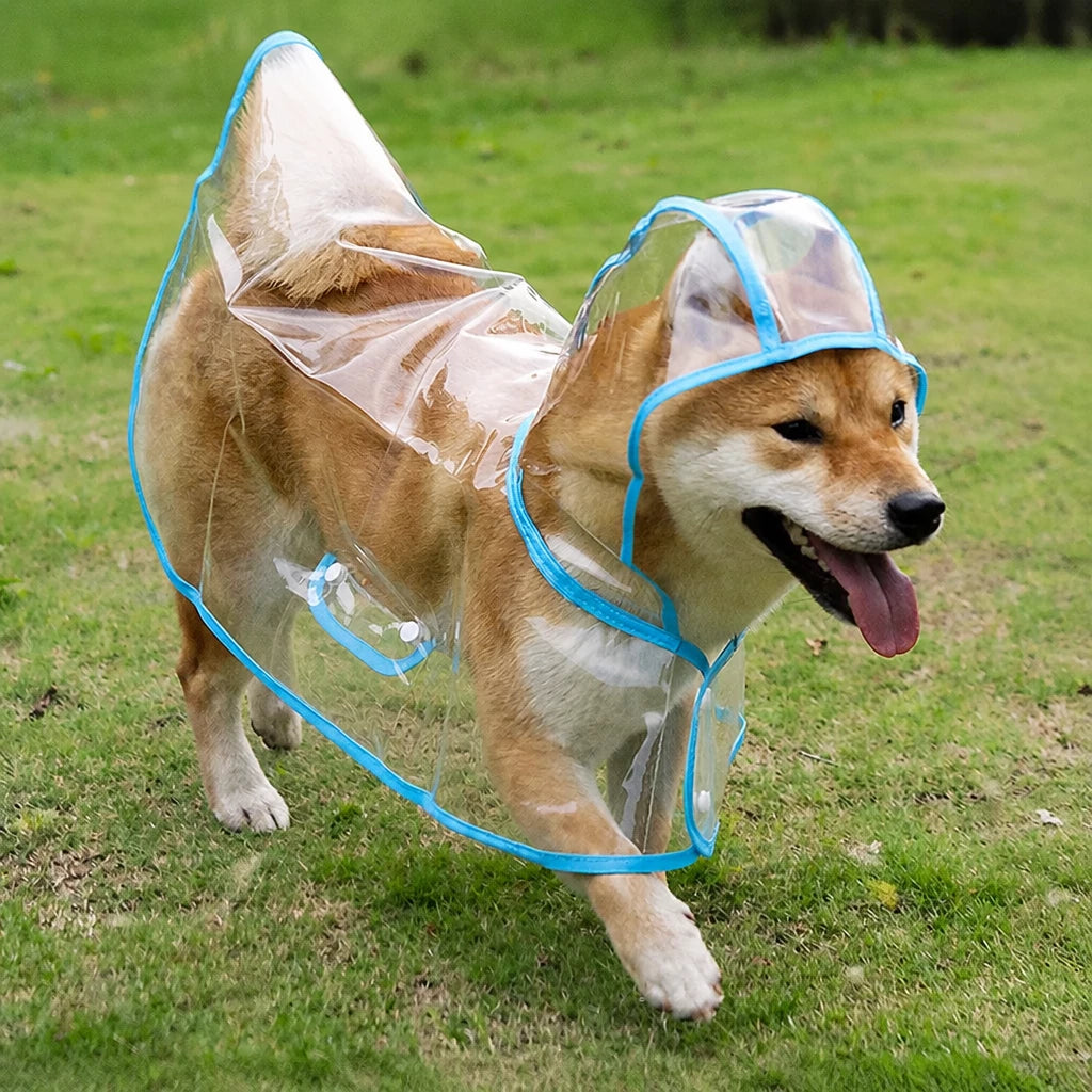 Transparent EVA Raincoat for Dogs