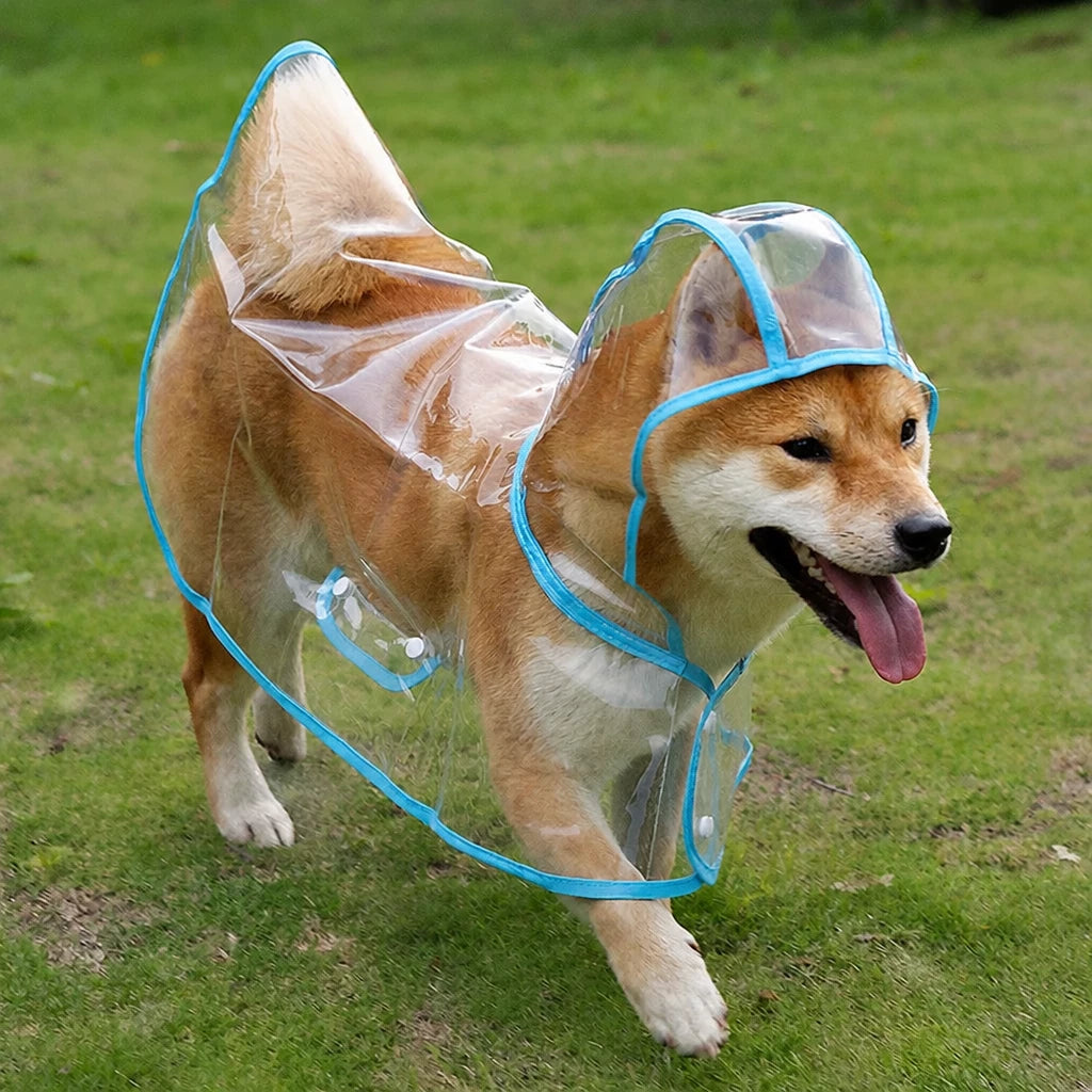 Transparent EVA Raincoat for Dogs