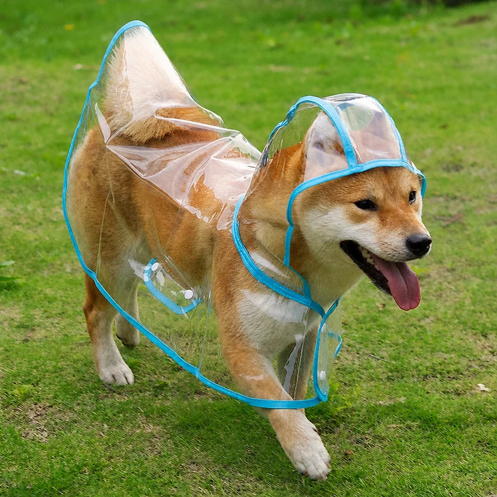 Transparent EVA Raincoat for Dogs