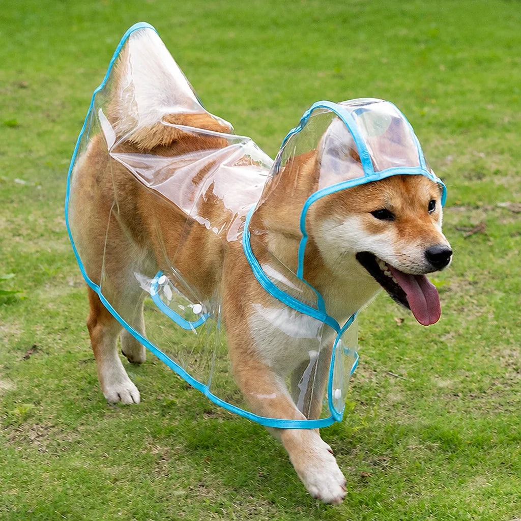Transparent EVA Raincoat for Dogs