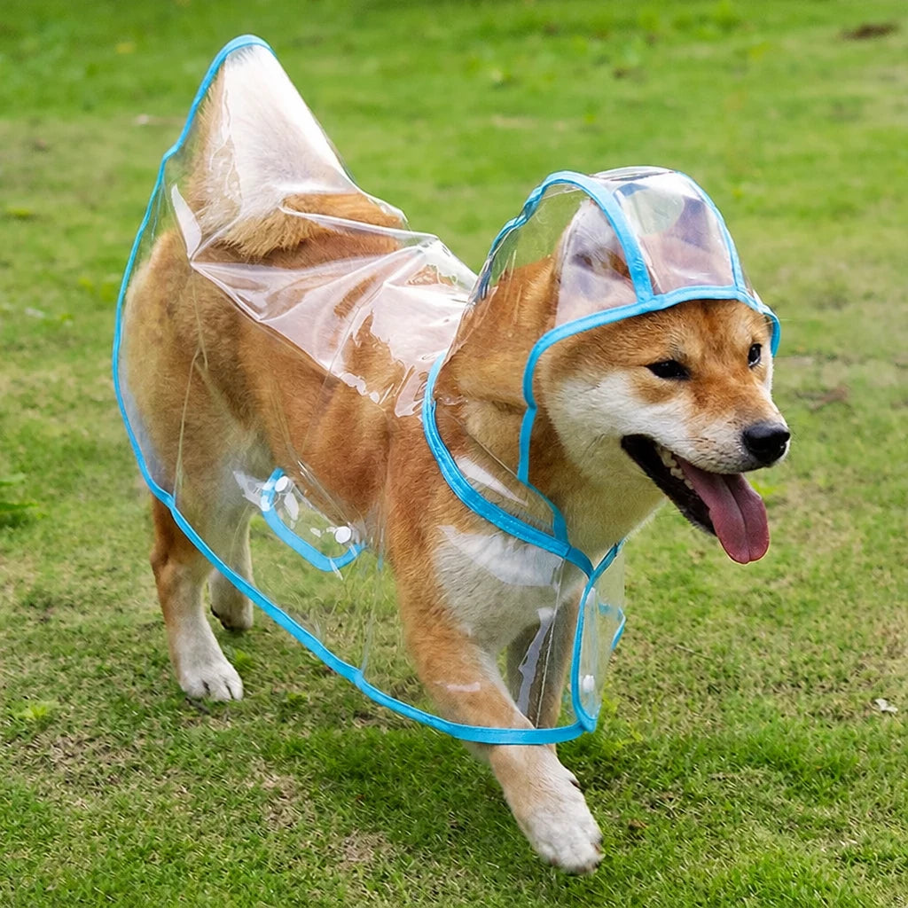 Transparent EVA Raincoat for Dogs