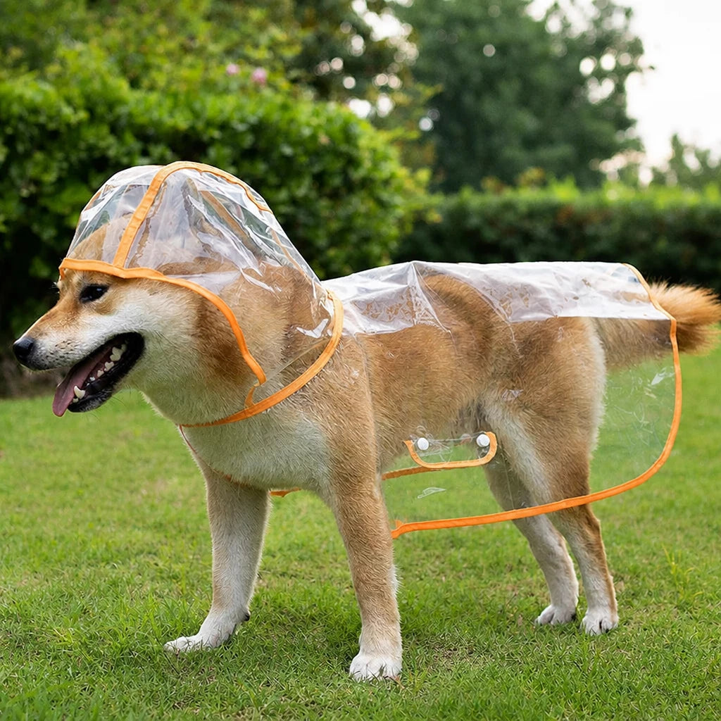 Transparent EVA Raincoat for Dogs