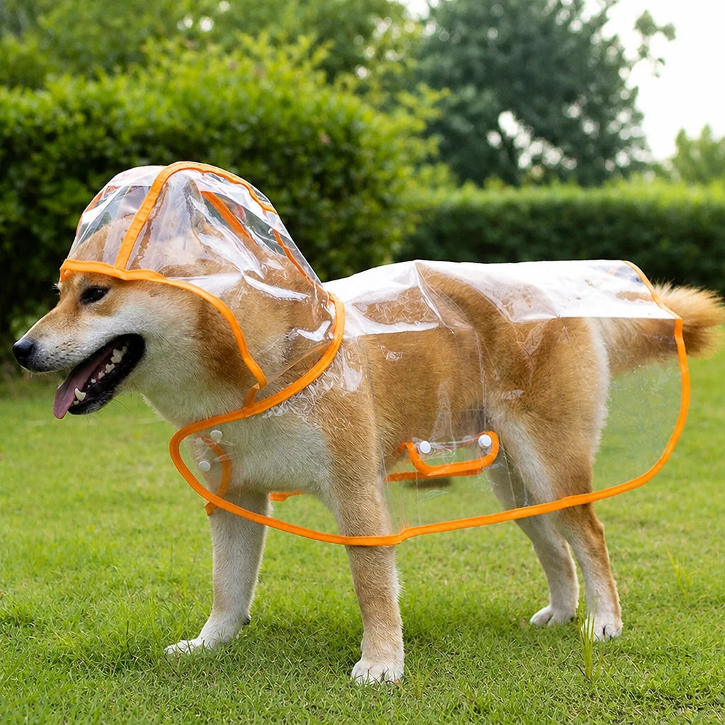 Transparent EVA Raincoat for Dogs