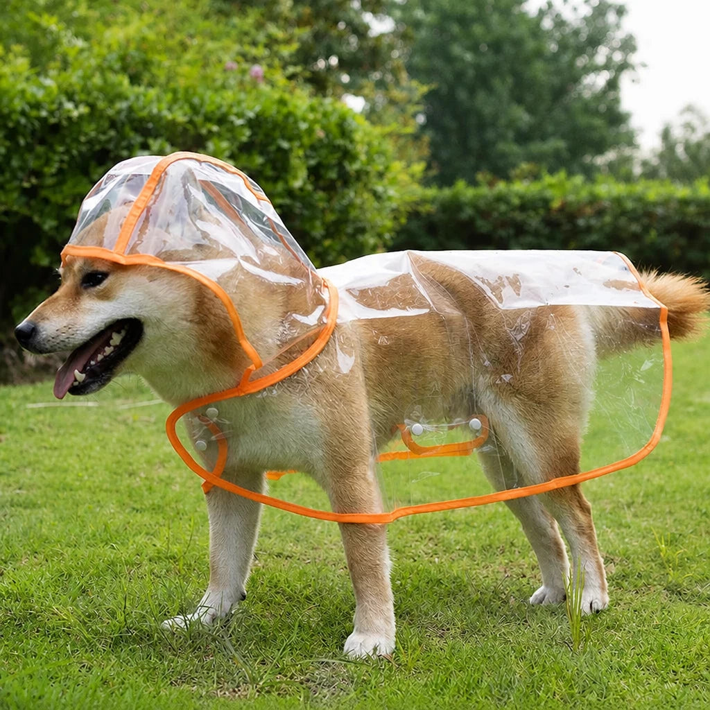 Transparent EVA Raincoat for Dogs