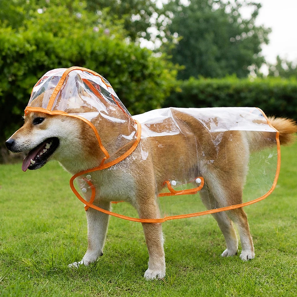 Transparent EVA Raincoat for Dogs