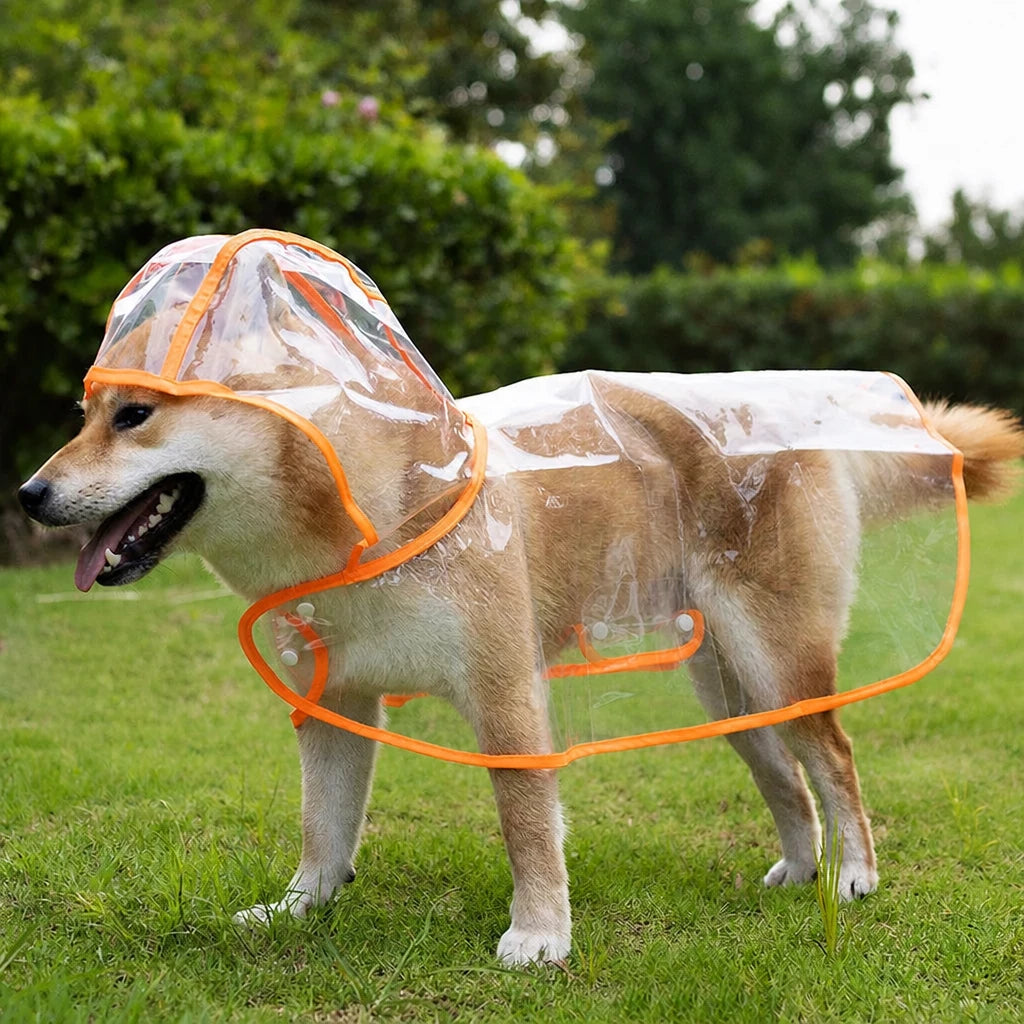 Transparent EVA Raincoat for Dogs