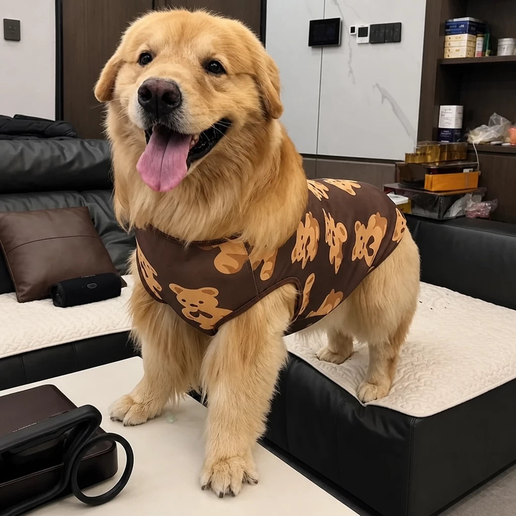 Lightweight Mesh Dog Vest