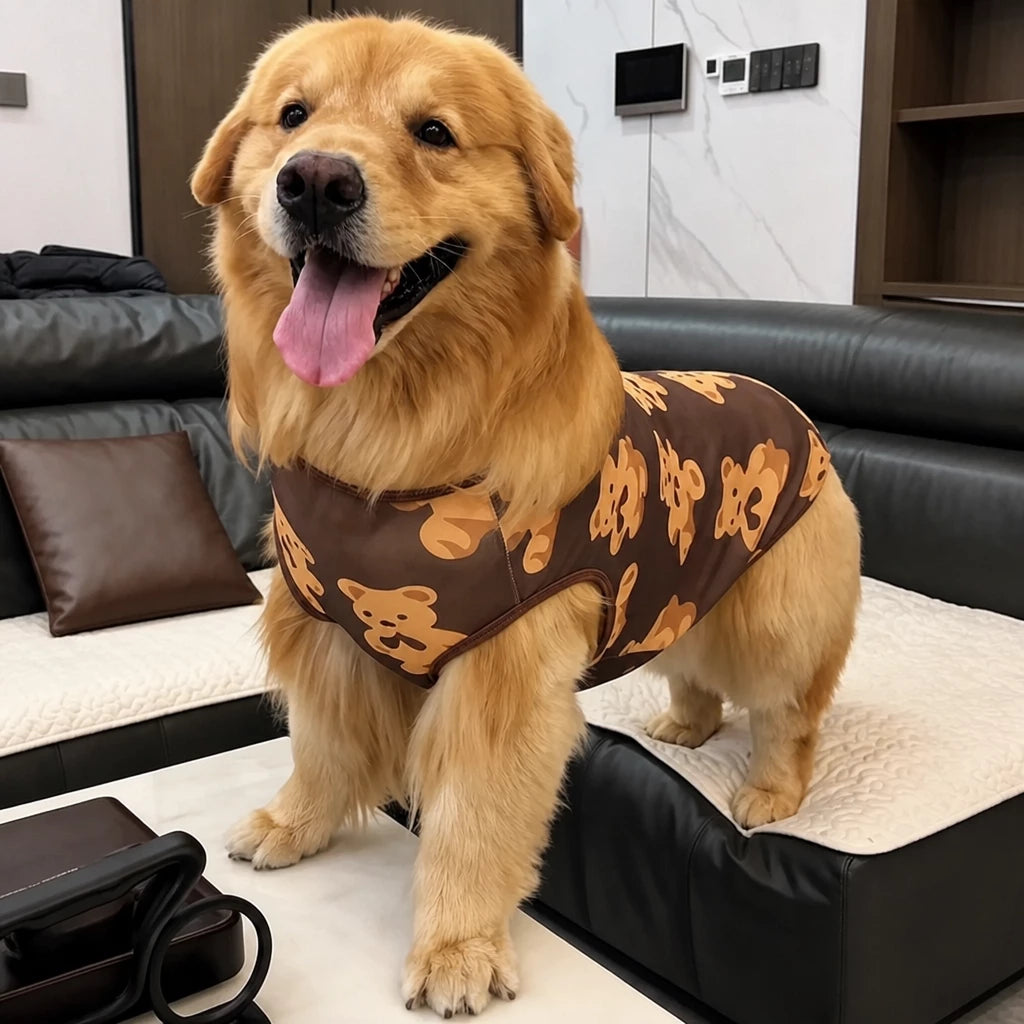 Lightweight Mesh Dog Vest