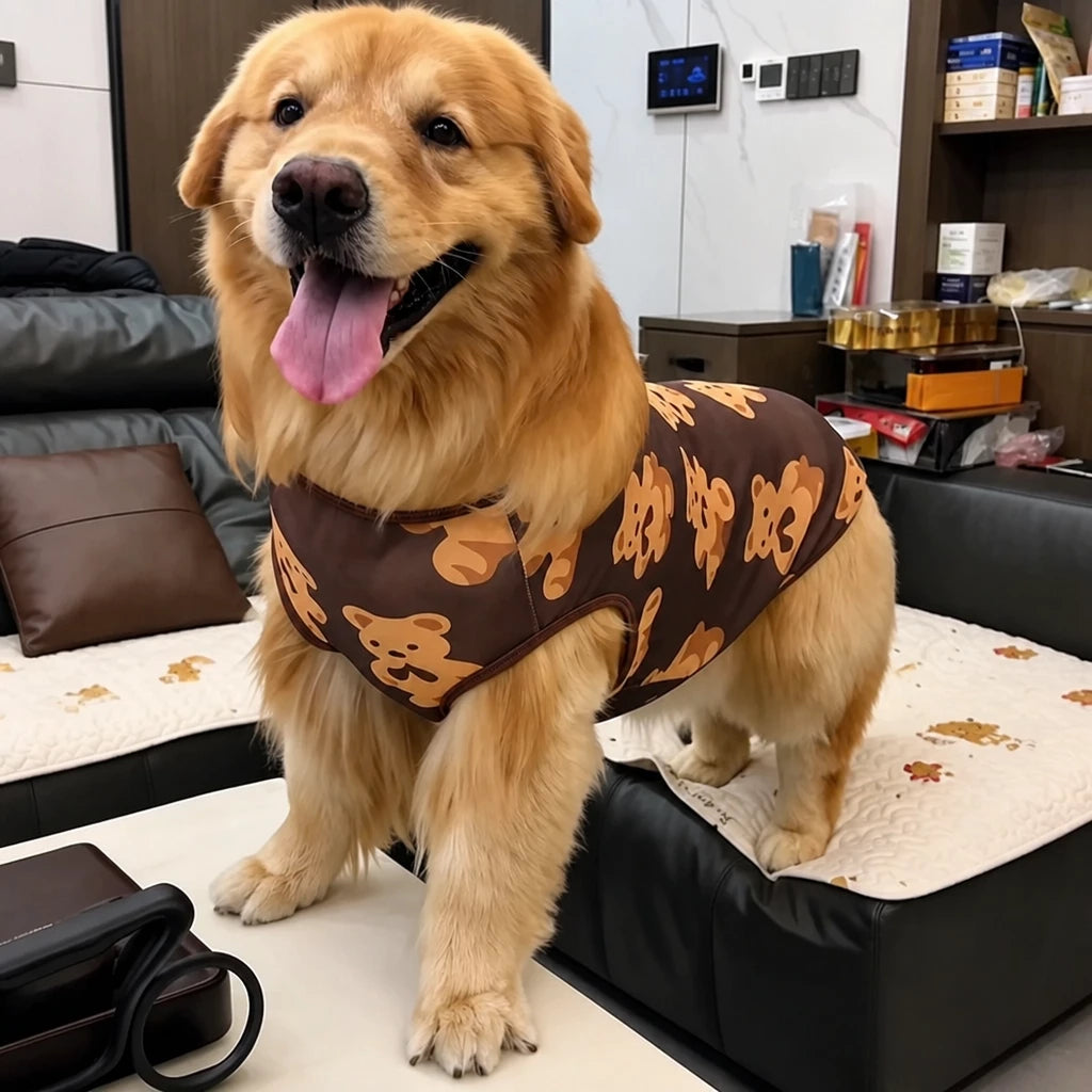 Lightweight Mesh Dog Vest