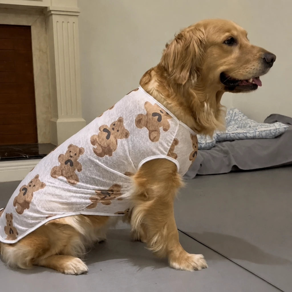 Lightweight Mesh Dog Vest