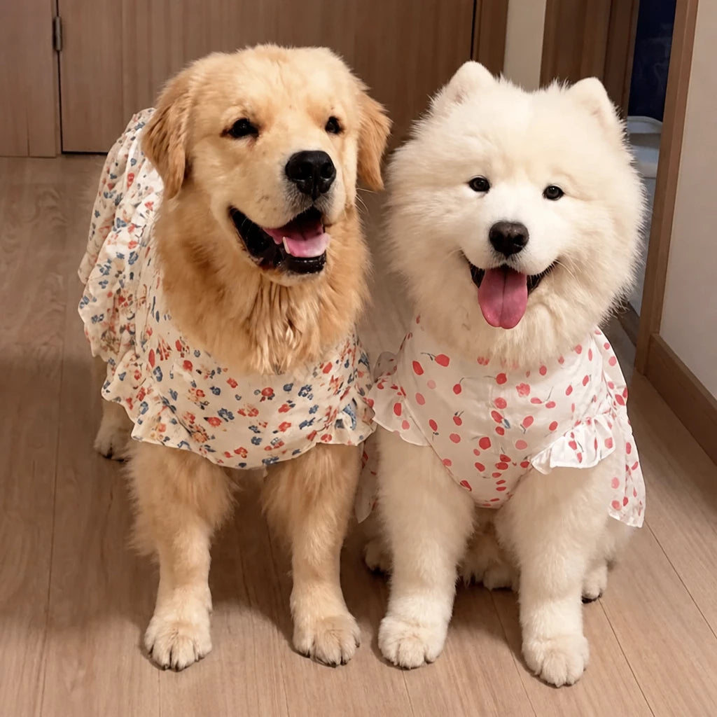 Lightweight Spring & Summer Dog Dress