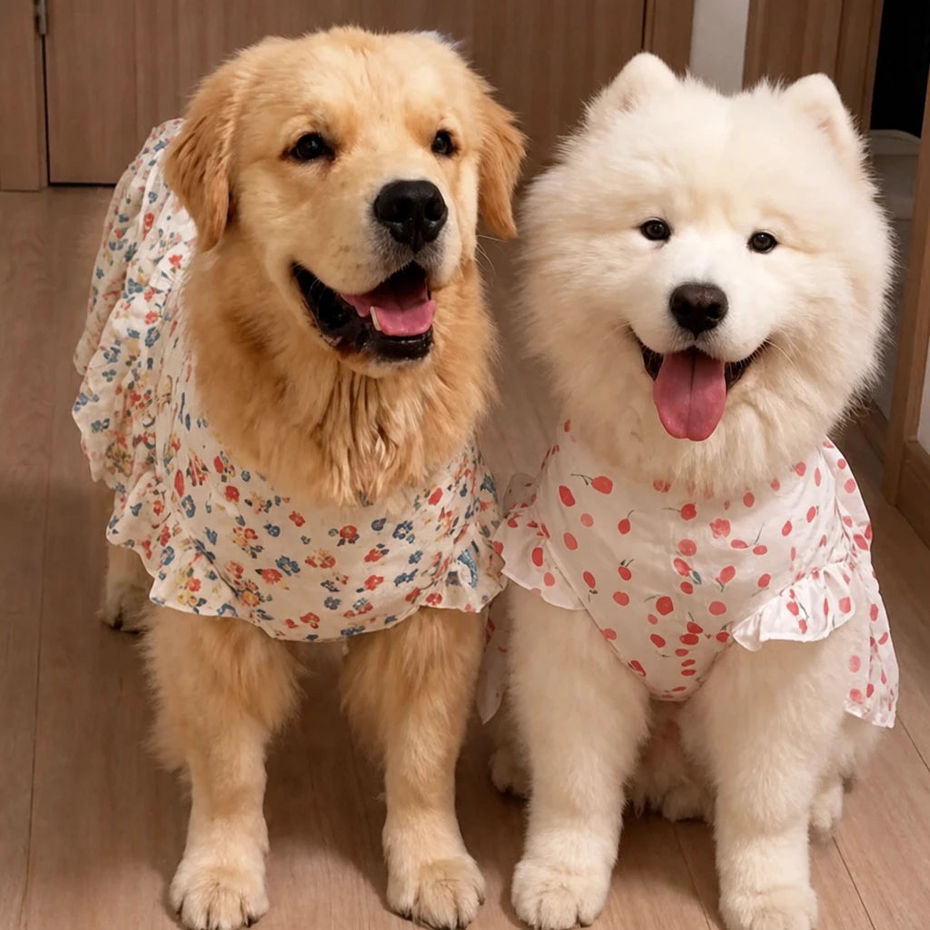 Lightweight Spring & Summer Dog Dress