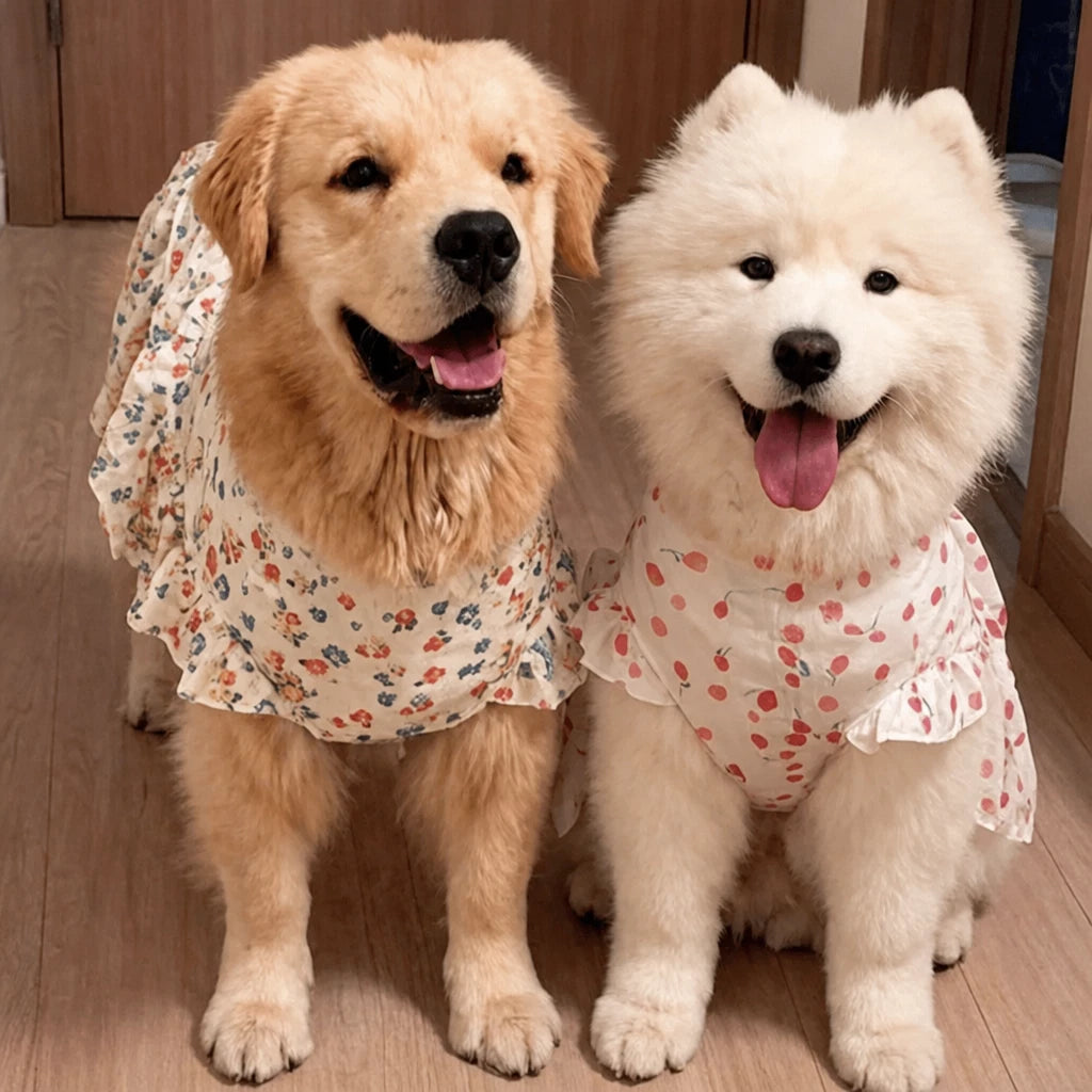 Lightweight Spring & Summer Dog Dress