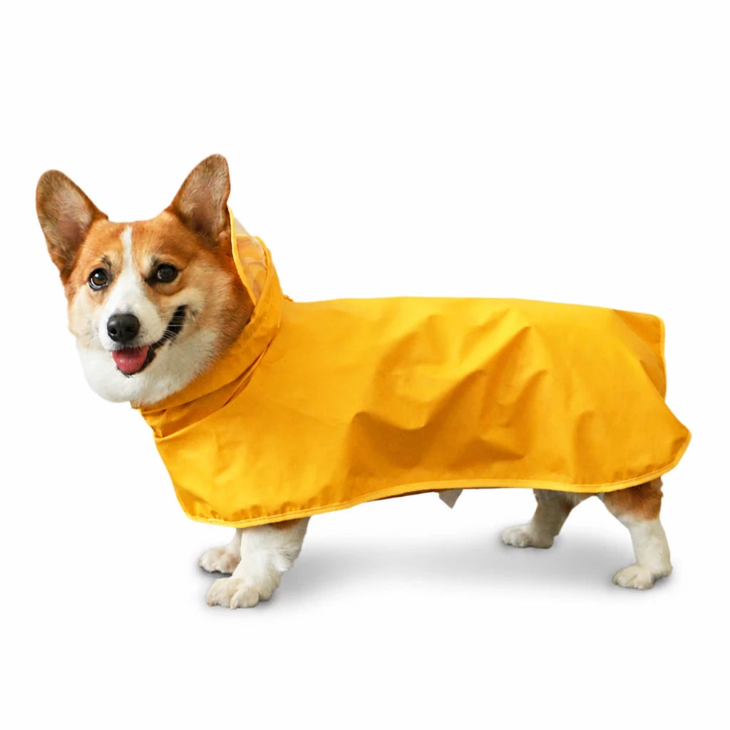 Four-Leg Dog Raincoat for Small to Medium Dogs