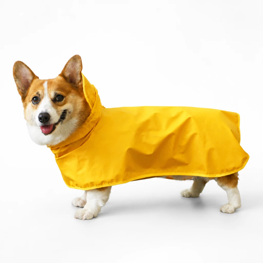 Four-Leg Dog Raincoat for Small to Medium Dogs