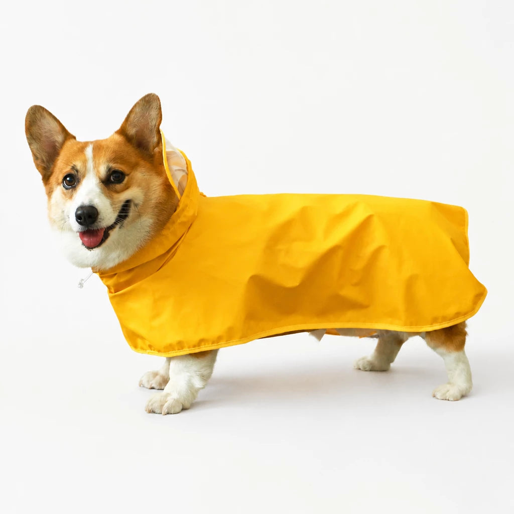 Four-Leg Dog Raincoat for Small to Medium Dogs