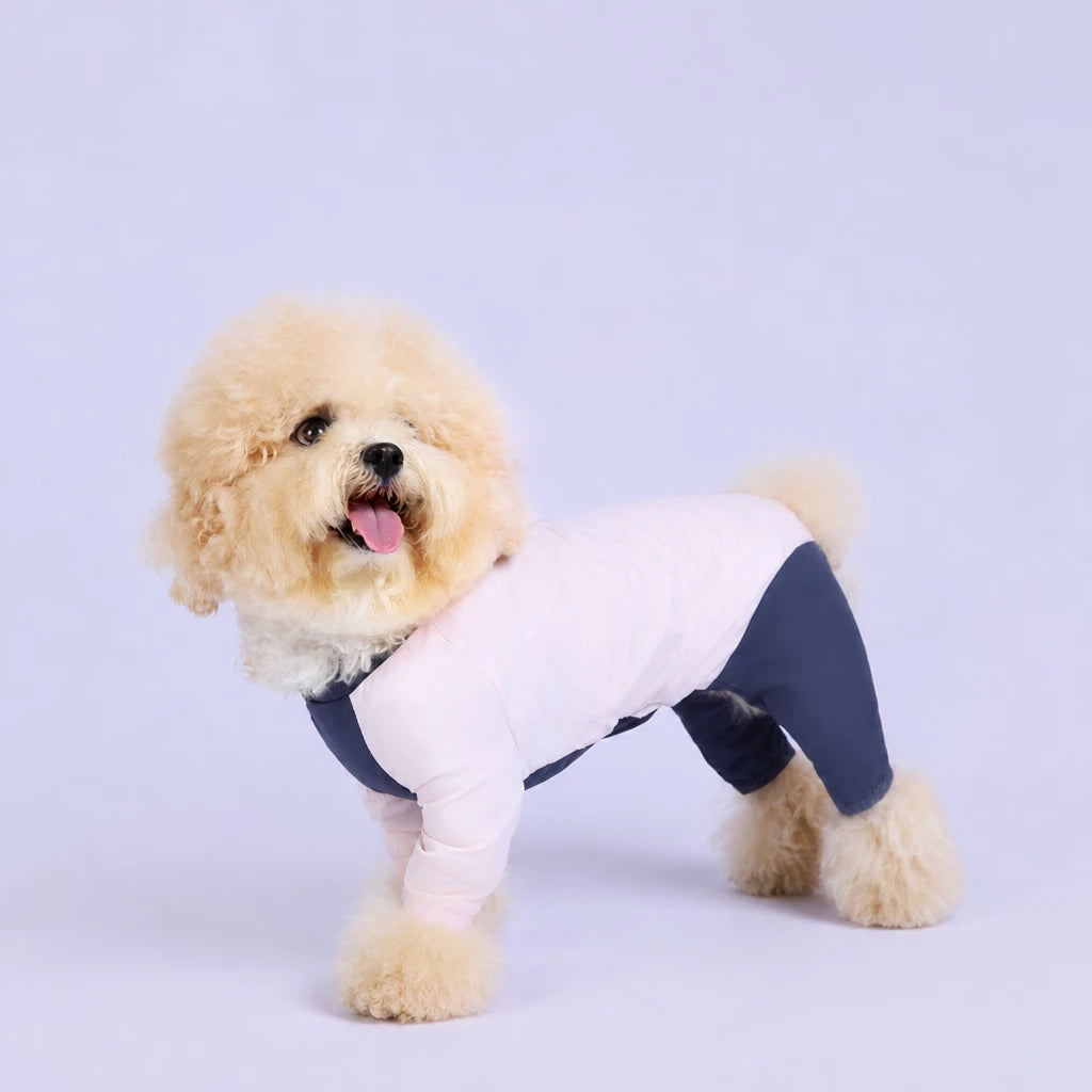 Lightweight Four-Leg Dog Shirt