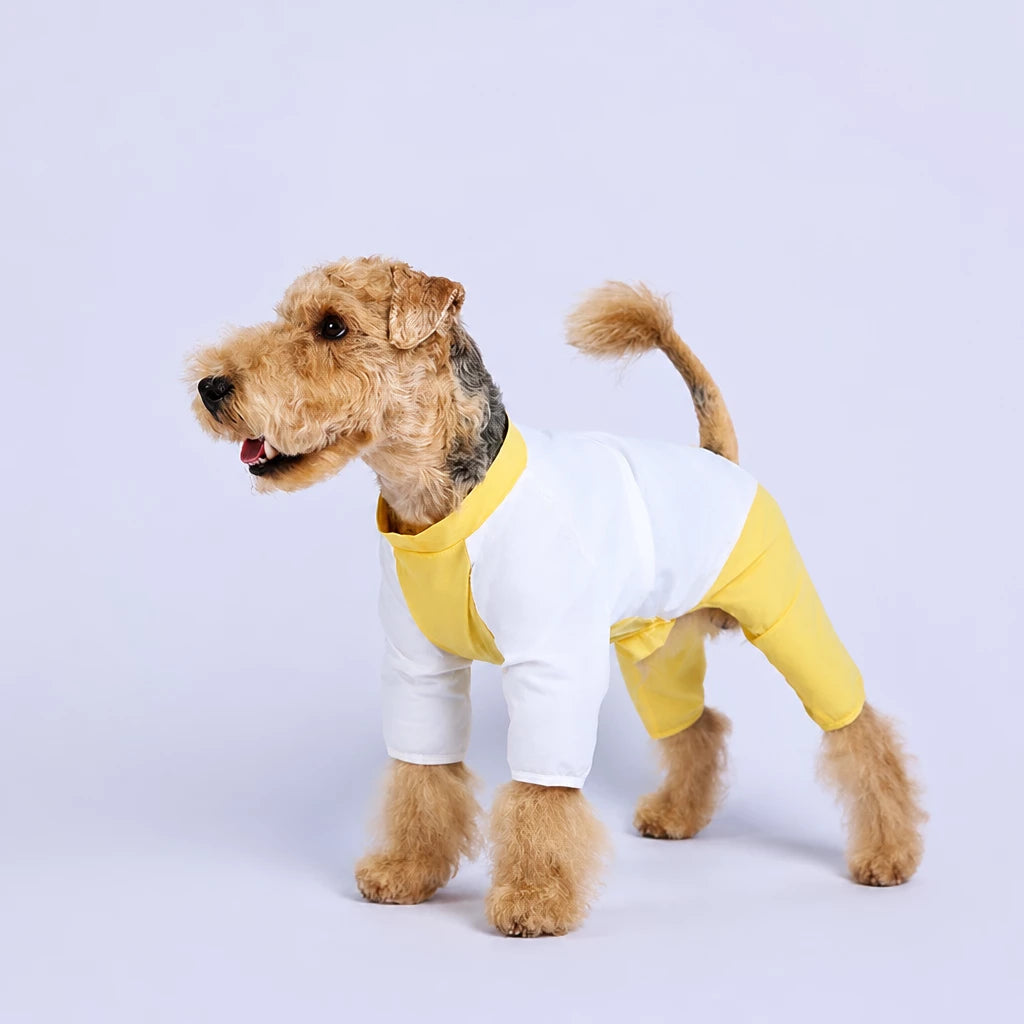 Lightweight Four-Leg Dog Shirt