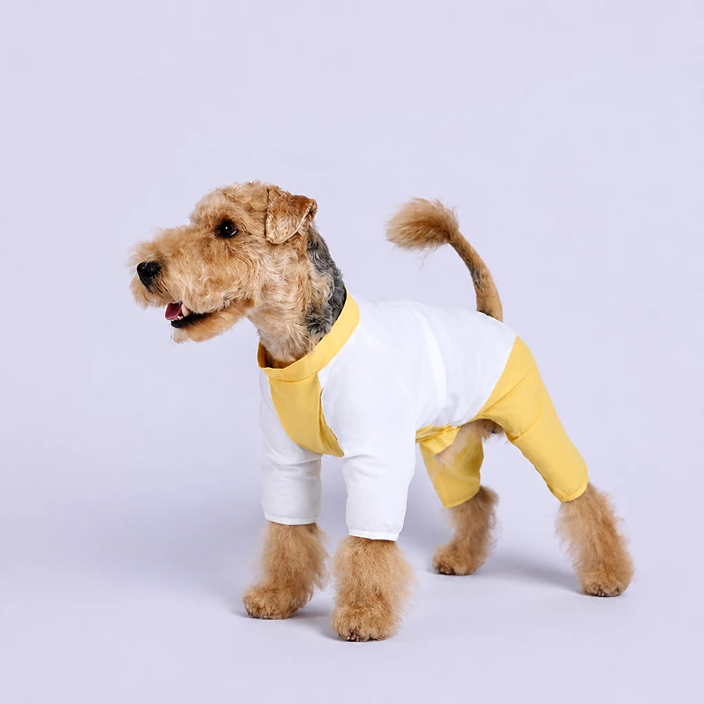 Lightweight Four-Leg Dog Shirt