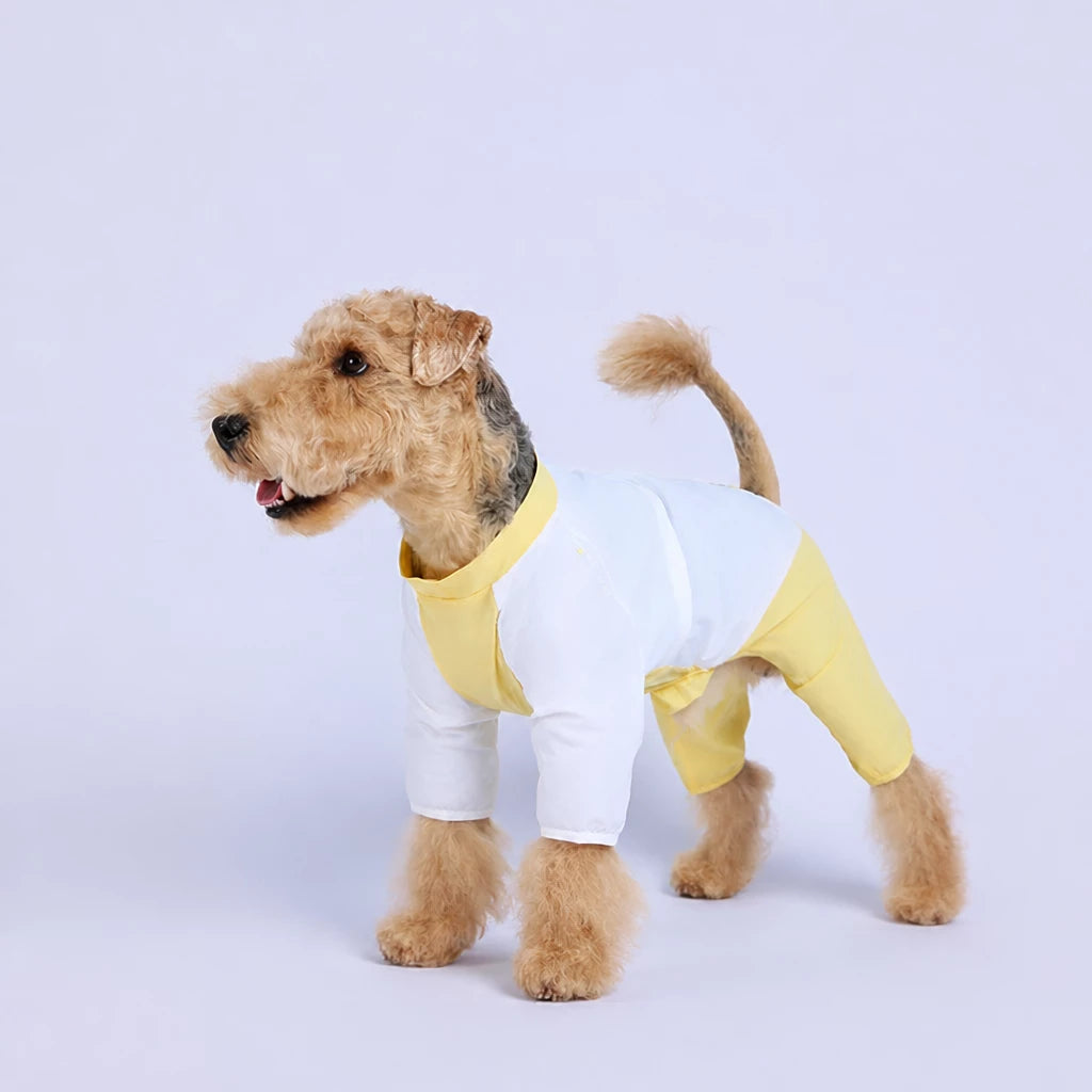 Lightweight Four-Leg Dog Shirt