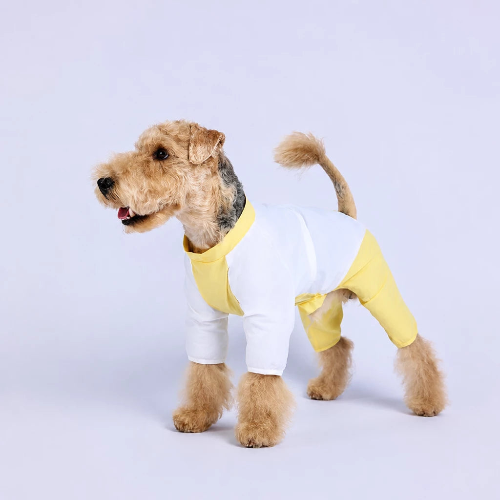 Lightweight Four-Leg Dog Shirt