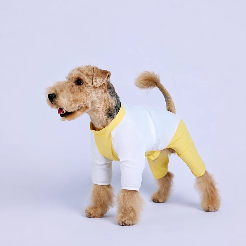 Lightweight Four-Leg Dog Shirt