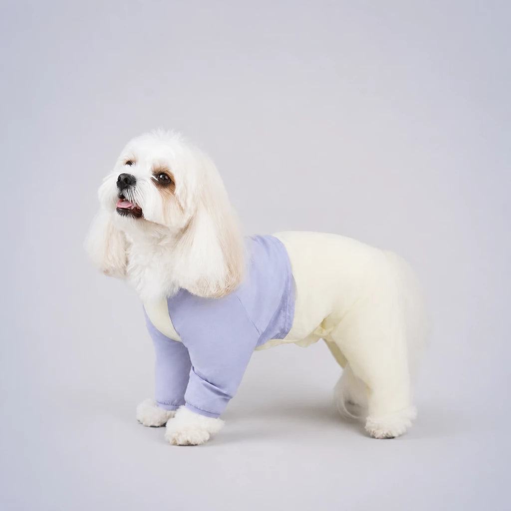 Lightweight Four-Leg Dog Shirt