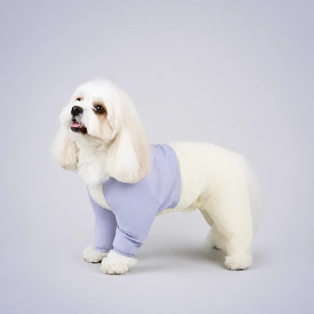 Lightweight Four-Leg Dog Shirt