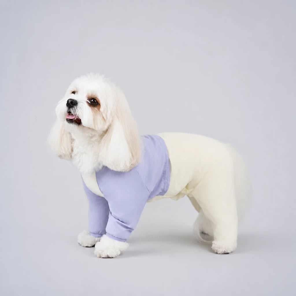 Lightweight Four-Leg Dog Shirt
