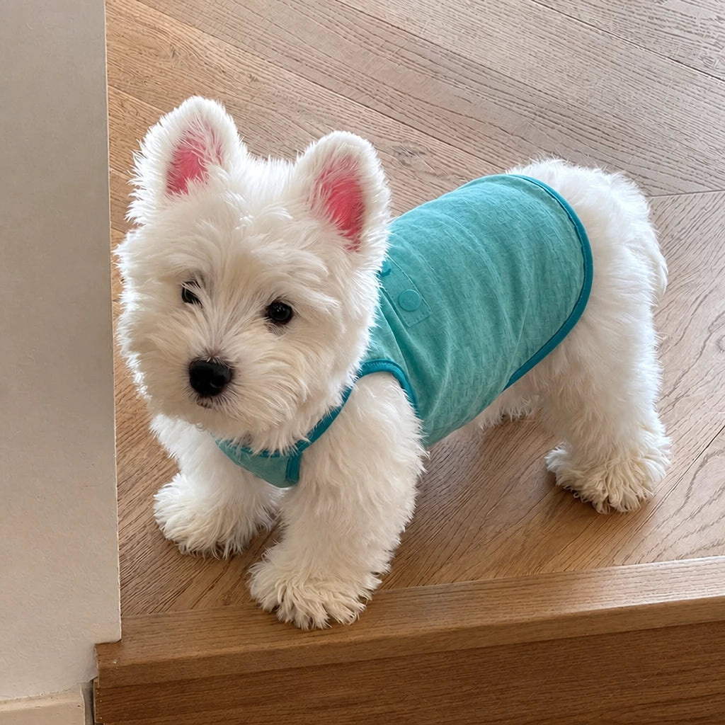 Lightweight Cotton Dog Vest