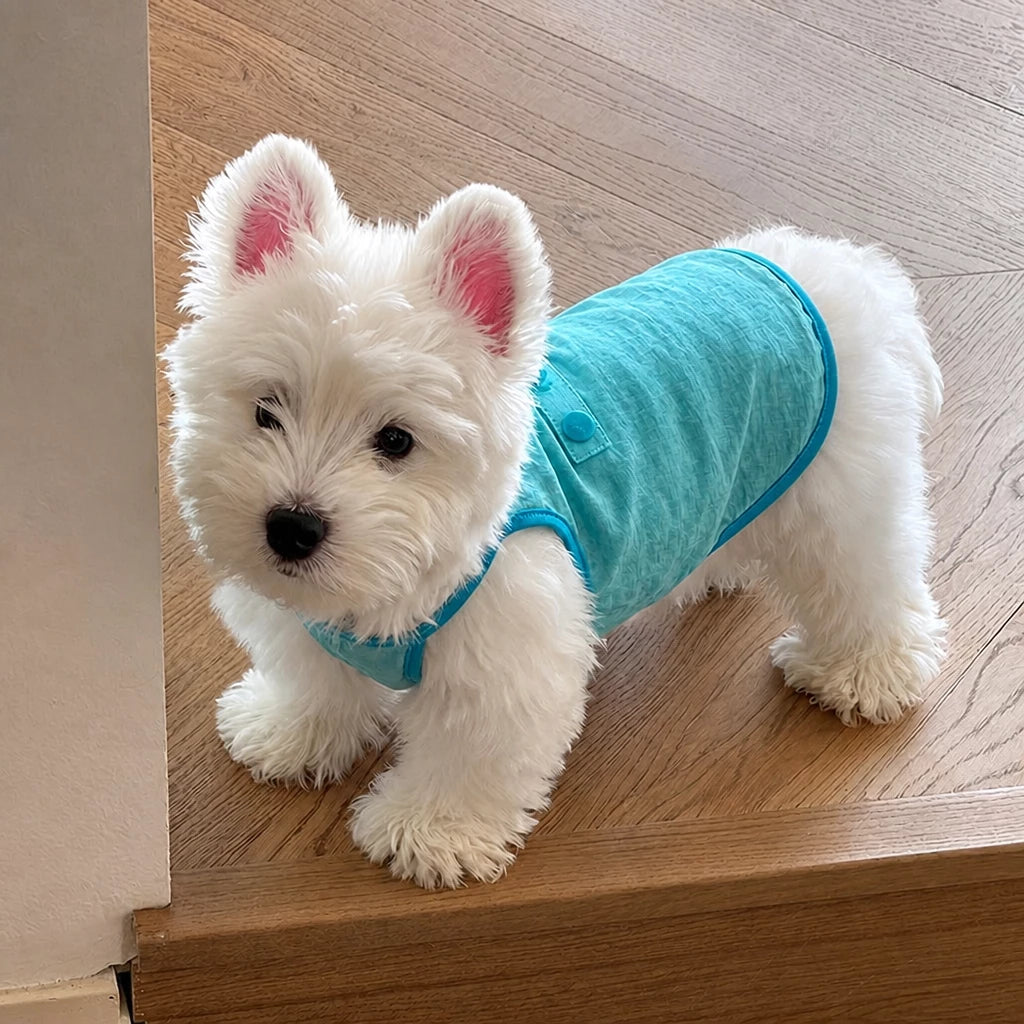 Lightweight Cotton Dog Vest