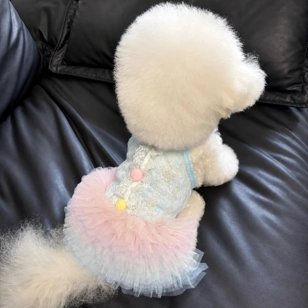 Lace Pet Dress with Gradient Full Skirt for Small Dogs and Cats