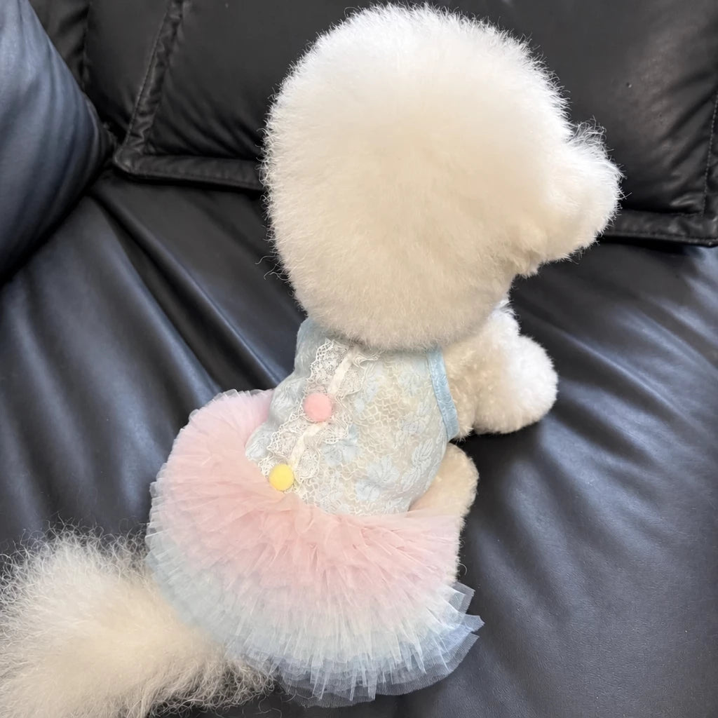 Lace Pet Dress with Gradient Full Skirt for Small Dogs and Cats