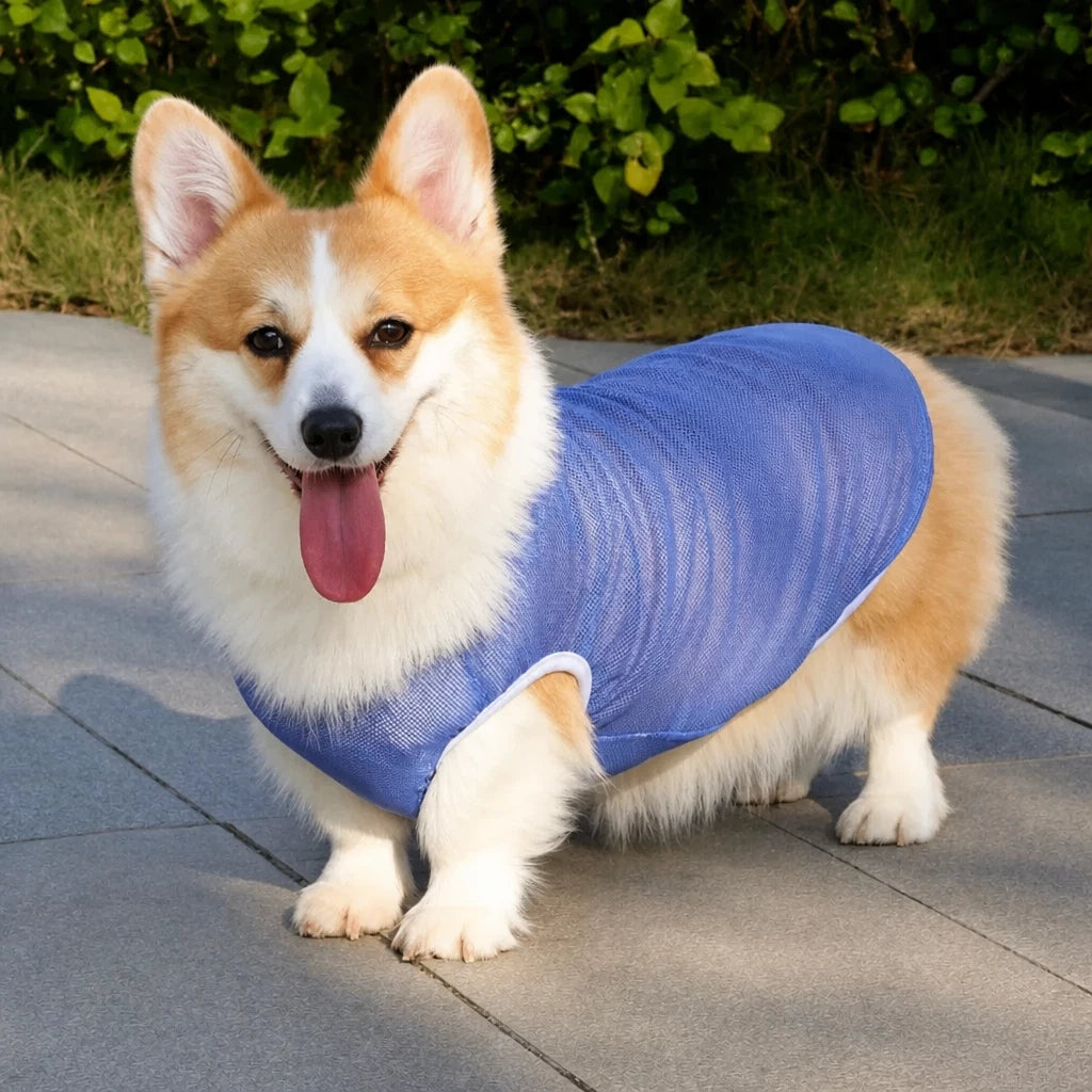Lightweight Nylon Dog Vest for Everyday Wear