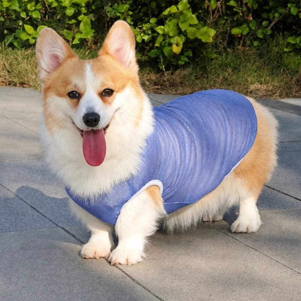 Lightweight Nylon Dog Vest for Everyday Wear