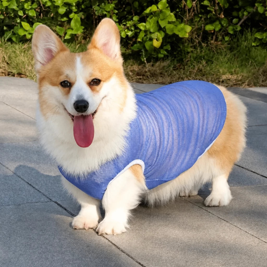 Lightweight Nylon Dog Vest for Everyday Wear