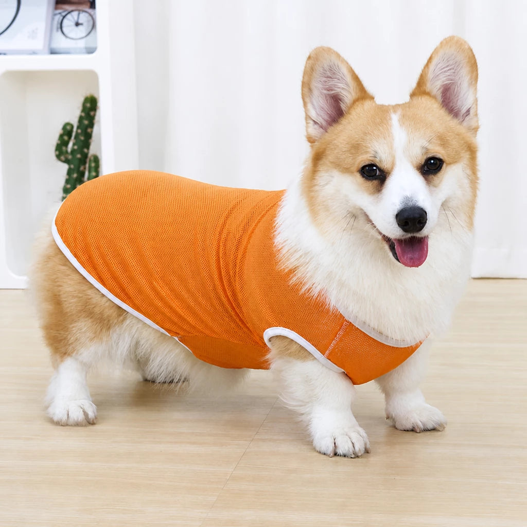 Lightweight Nylon Dog Vest for Everyday Wear