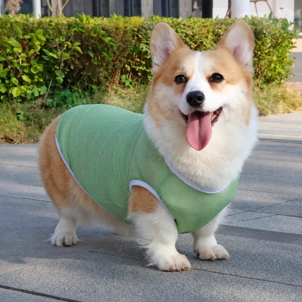 Lightweight Nylon Dog Vest for Everyday Wear