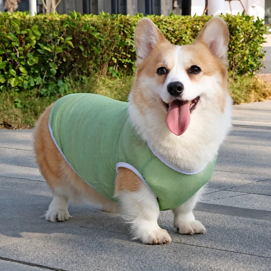Lightweight Nylon Dog Vest for Everyday Wear