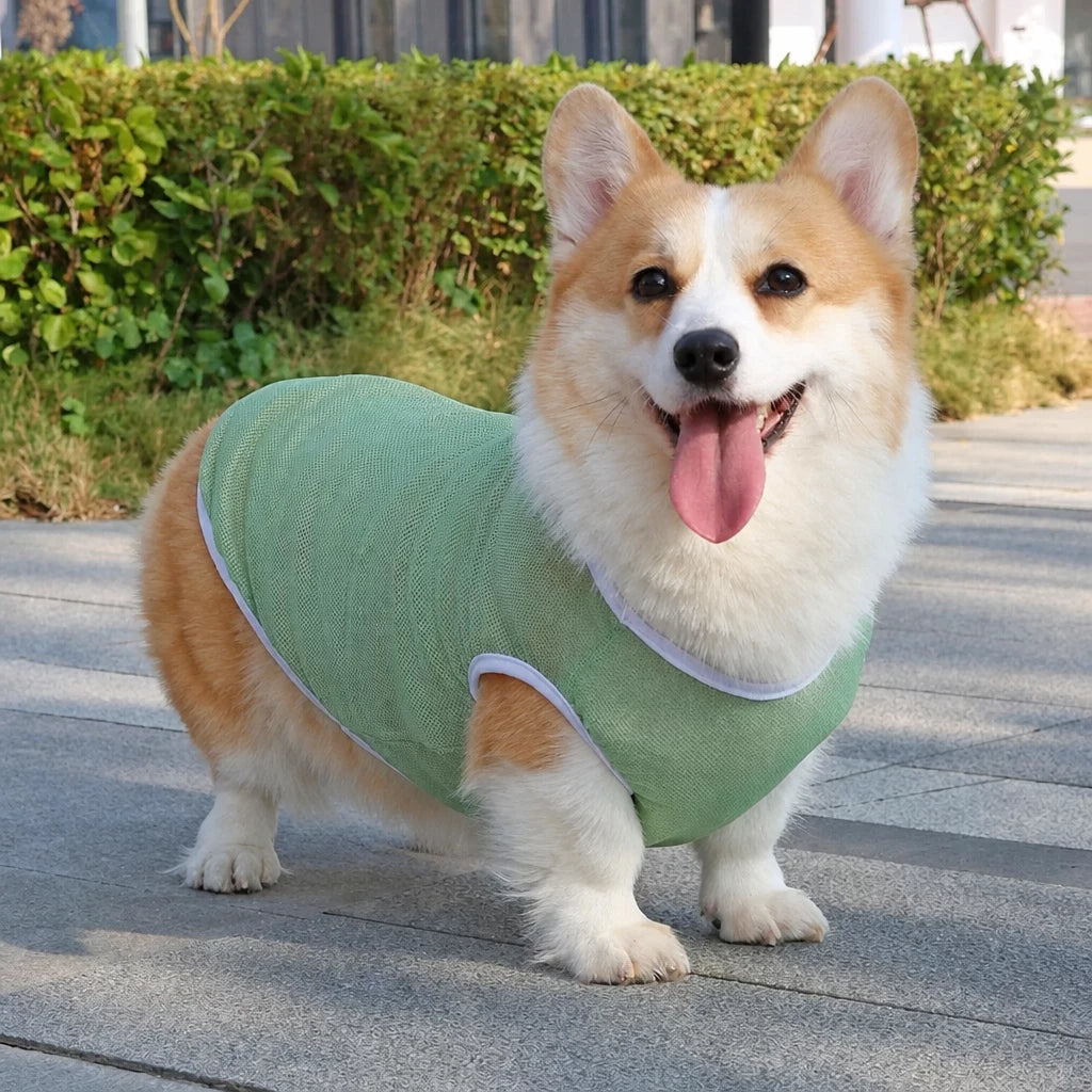 Lightweight Nylon Dog Vest for Everyday Wear