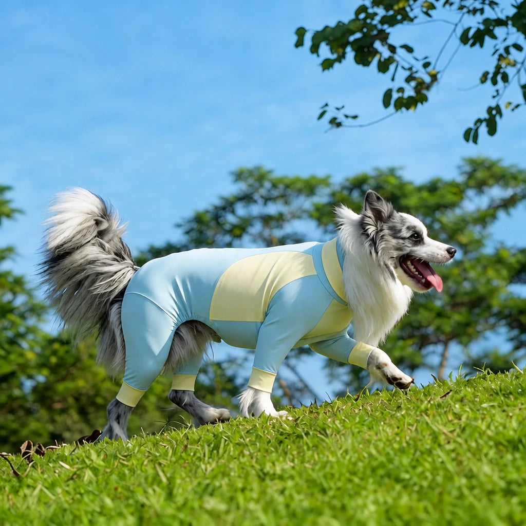 Lightweight Four-Leg Dog Shirt for Summer