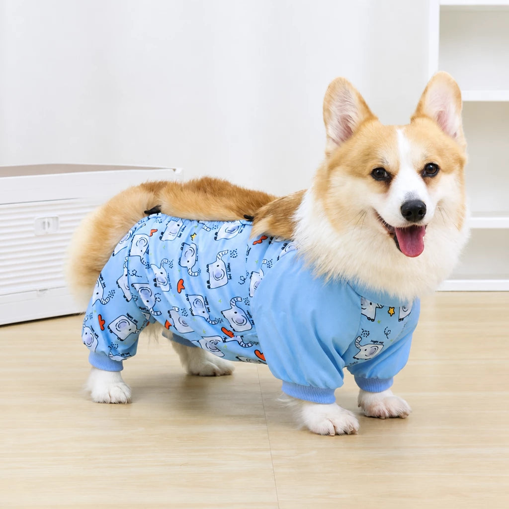 Dog Outdoor Rainwear