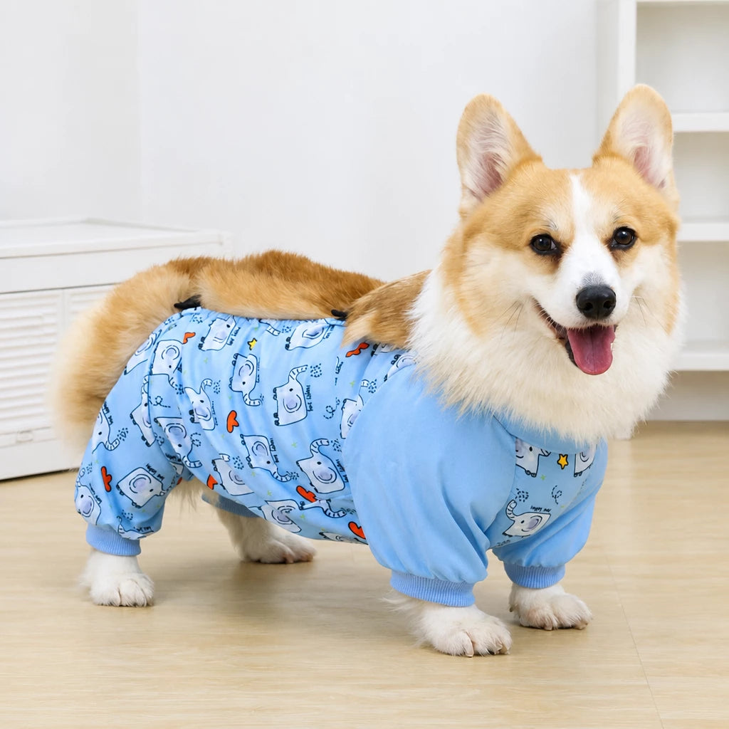 Dog Outdoor Rainwear
