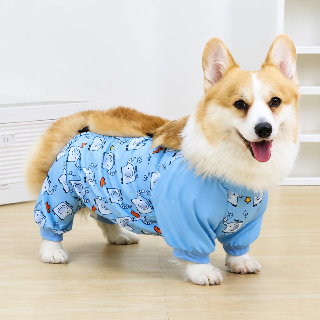 Dog Outdoor Rainwear