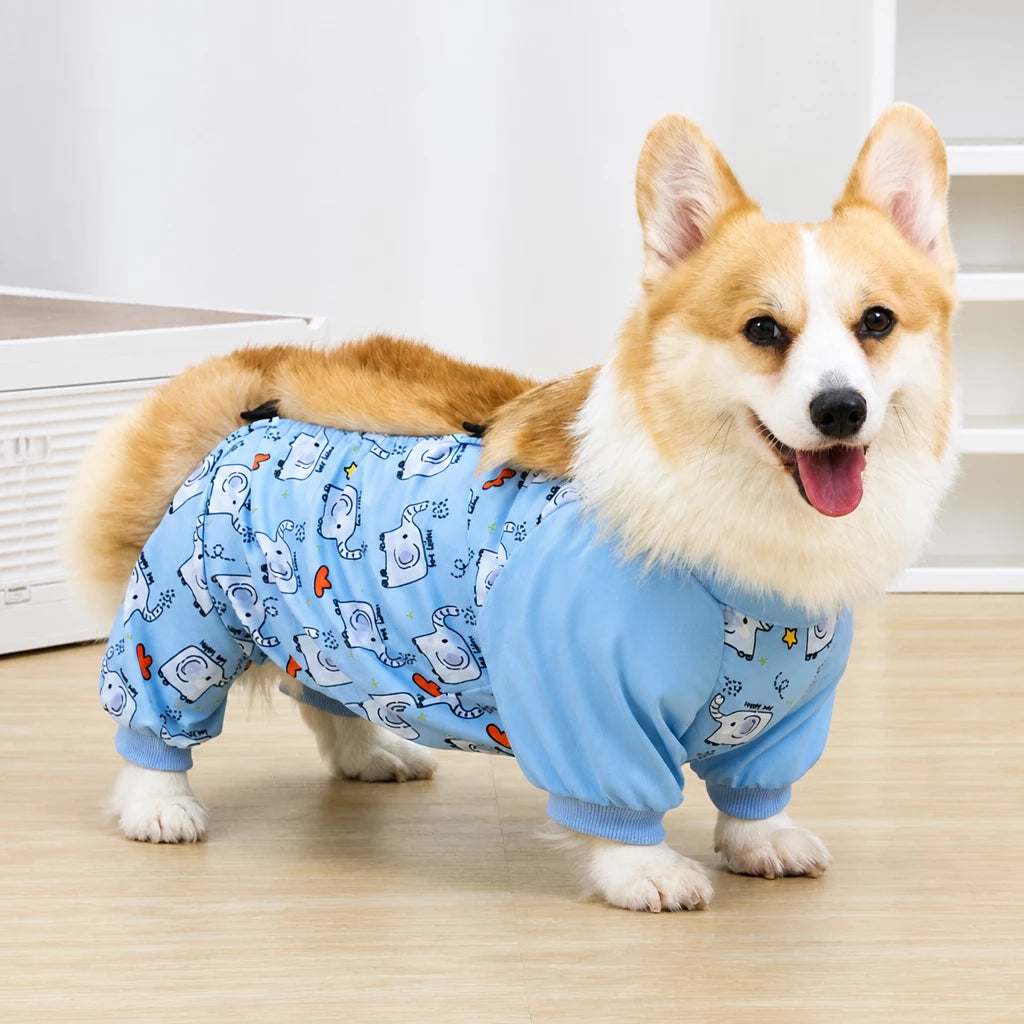 Dog Outdoor Rainwear